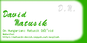 david matusik business card